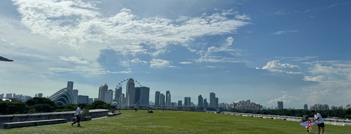 Marina Barrage is one of Sing.
