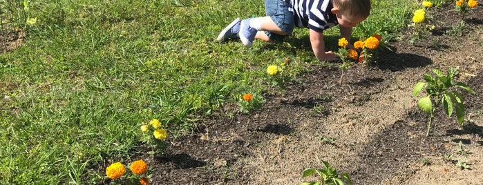 Coastal Georgia Botanical Gardens at the Historic Bamboo Farm is one of Family Fun (Shared).