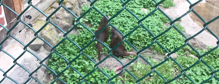 Tierpark Gotha is one of Lieux qui ont plu à Timmy.