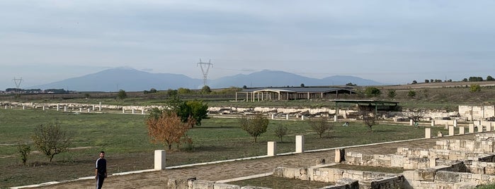 Αρχαιολογικός Χώρος Πέλλας is one of Paolo : понравившиеся места.
