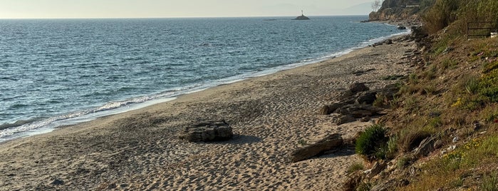 Mytikas Beach is one of greece2012.