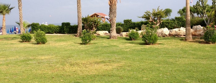 Asterias Beach Hotel is one of Tasty Cyprus.