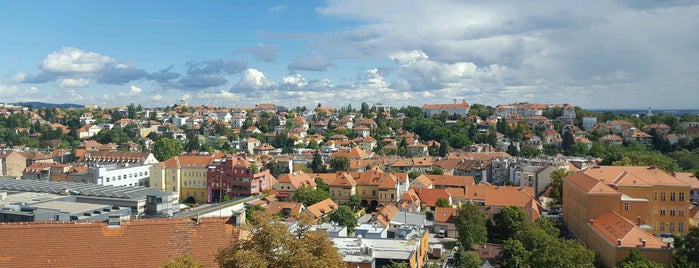 Zvjezdarnica (Observatory) is one of Entertainment.