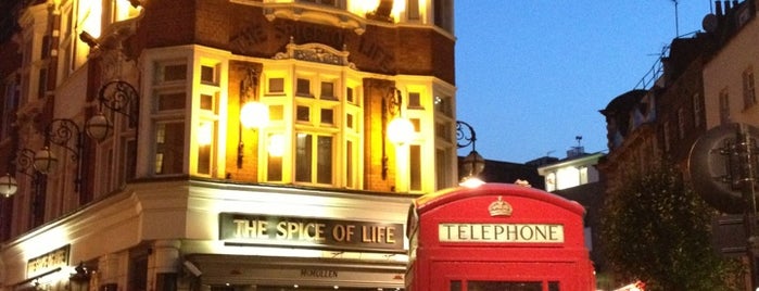 The Spice of Life is one of Lieux qui ont plu à Alexander.