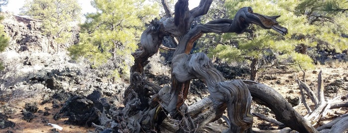 Lava Flow Trail is one of eric : понравившиеся места.