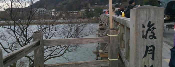 Togetsu-kyo Bridge is one of Locais curtidos por papecco1126.