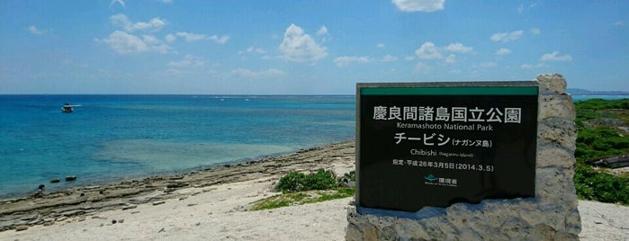ナガンヌ島 is one of 沖縄リスト.