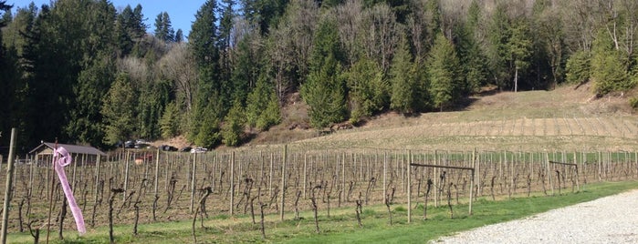 Challenger Ridge Vineyard & Cellars is one of E’s Liked Places.