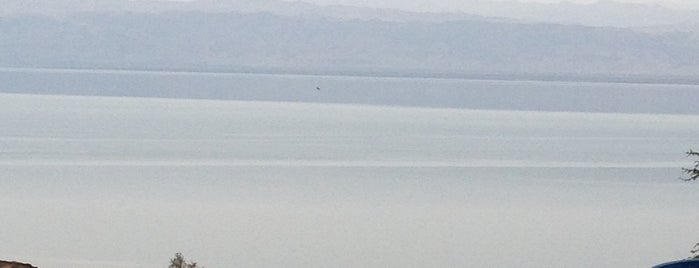 Mövenpick Resort & Spa Dead Sea is one of Orte, die Anton gefallen.