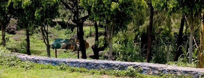 Parque Ecologico Huayamilpas is one of Oscar'ın Kaydettiği Mekanlar.