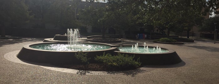 H2O Fountain is one of My favorite A&M places!.