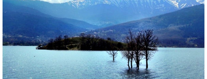 Lake Plastiras is one of Tempat yang Disukai Giorgos.