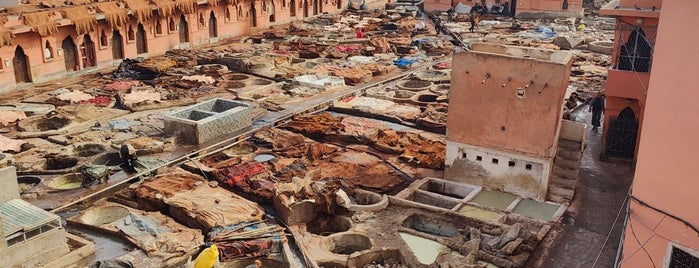 Tannerie de Marrakech is one of Morocco.