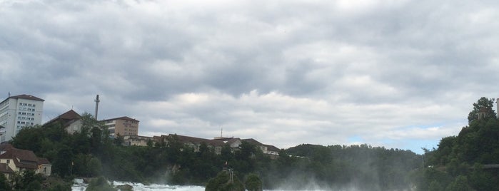 Rhine Falls is one of Nieko’s Liked Places.