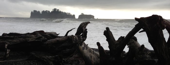 Rialto Beach is one of Sleepless, Hiking and the City of Glass.