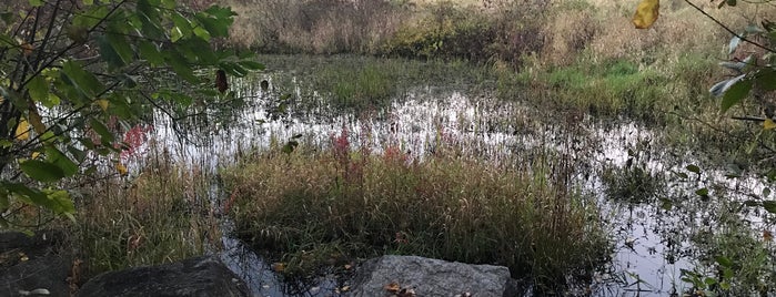 Jenks Conservation Land is one of Dog walking trails.