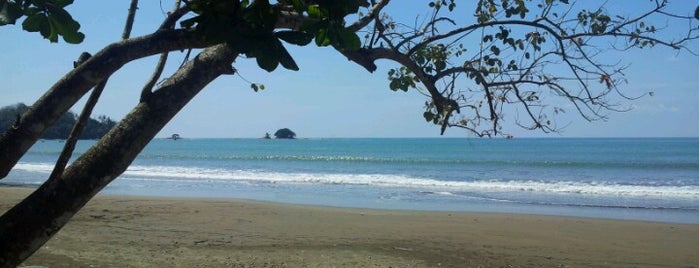 Playa Dominical is one of Locais curtidos por Chris.