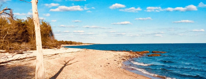 Orient Beach State Park is one of Lugares favoritos de Lisa.