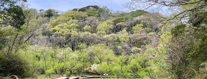 小網代の森 is one of 山と高原.