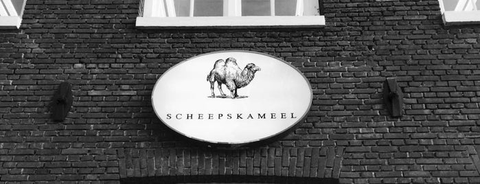 Scheepskameel is one of AMSTD.