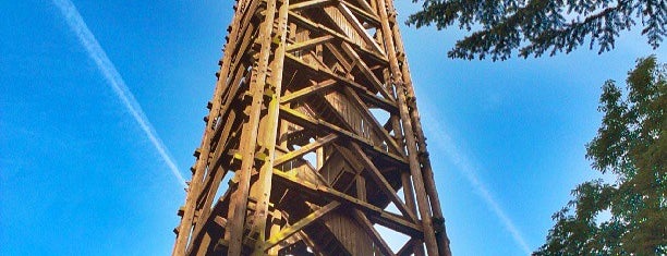 Goetheturm is one of Posti che sono piaciuti a Roxanne.