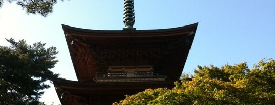 Gotokuji Temple is one of せたがや百景 100 famous views of Setagaya.