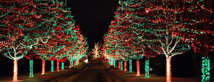 Mallard Pond Christmas Lights is one of Denver - CO USA.
