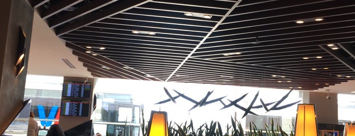 Turkish Airlines CIP Lounge is one of Orte, die Hayri gefallen.