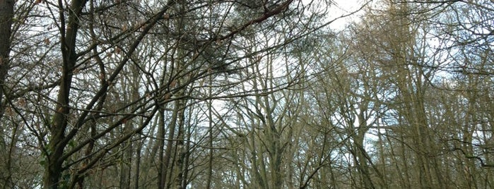 Haigh Hall and Country Park is one of Posti che sono piaciuti a Ricardo.