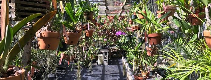 St. Pete Orchid Farm is one of Kimmieさんの保存済みスポット.