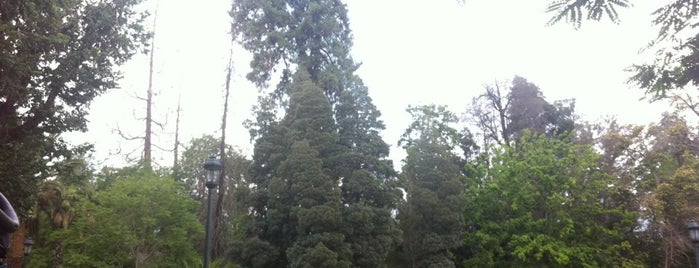 Parque Gandarillas - Padre Hurtado is one of NRight.