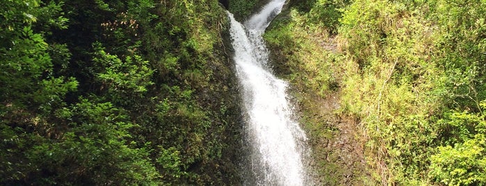 Lulumahu Falls is one of Hawaii.