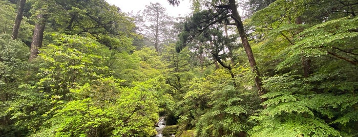 Yakusugi Land is one of Lugares favoritos de Sandip.