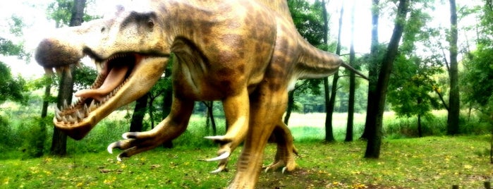 Zaurolandia is one of dinozaury z Focusem.