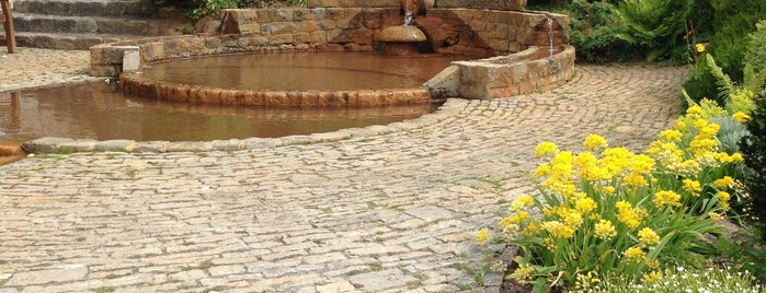 Chalice Well is one of Lugares favoritos de Alexander.