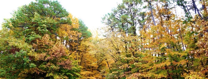 McCormick's Creek State Park is one of Joeyさんのお気に入りスポット.