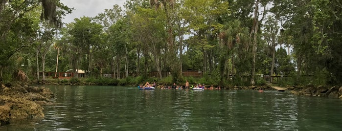 Three Sisters Springs is one of Manatees.