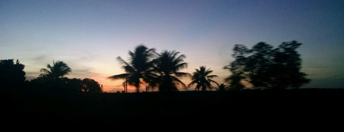 Praia de Ponta de Pedras is one of Praias de Pernambuco.