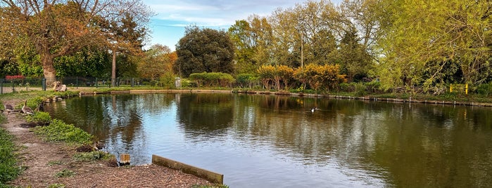 Finsbury Park Lake is one of Amedeo's spots.