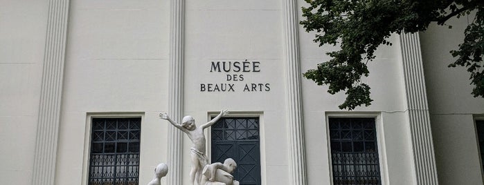 Musée des Beaux-Arts de Pau is one of Pau.