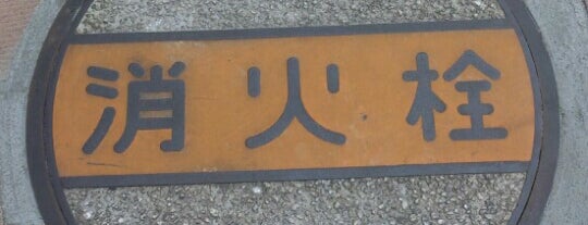 神奈川県トラック総合会館前の消火栓マンホールの上 is one of 何コレ10.