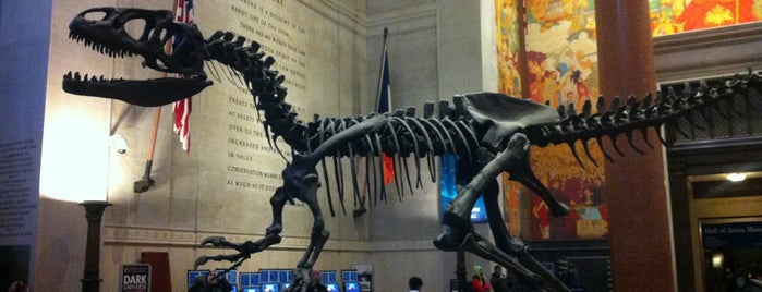 American Museum of Natural History is one of NYC Culture.