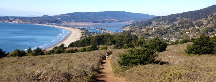 Dipsea Trail is one of North Bay Faves.