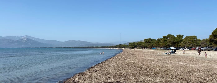 Schinias Beach is one of list.