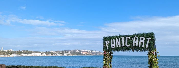 Punic'Art is one of Tunus.