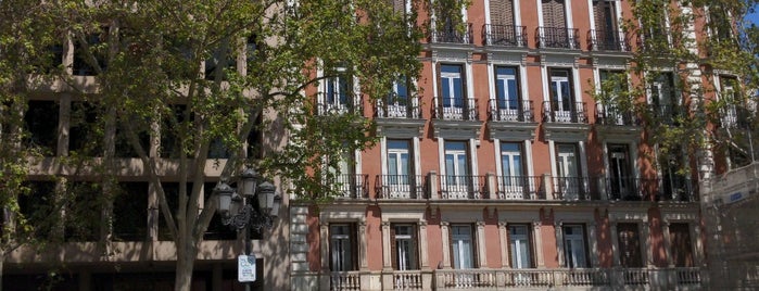 Plaza del Rey is one of Madrid - Cafés e Terrazas.