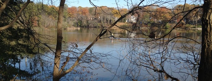 Severn Run Natural Environmental Area is one of Parks & Playgrounds.