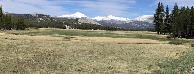 Tuolumne Meadows is one of Lugares guardados de Anna.