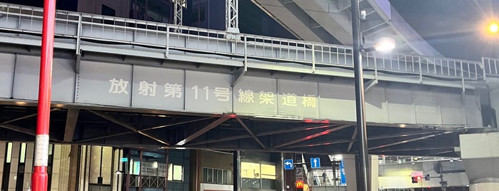 放射第11号線架道橋 is one of 荒川・墨田・江東.
