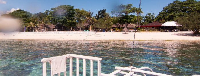 Baywatch Dive- Alona is one of Dive Resorts.